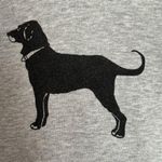 The Black Dog Light Gray Hoodie Photo 1