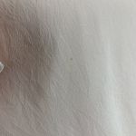 Karina Grimaldi  Revolve Women’s Dress Small Pink Silk Viscose Photo 5