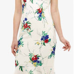 NWT Phase Eight Bethania Floral Dress Ivory w Colorful Flower Print US 6 🧡🎀 White Photo 0