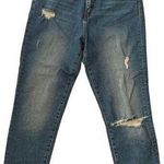 Vervet Flying monkey mom fit ankle jeans size 27 distressed regular wash Photo 0