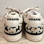 Coach Women’s Laceup Floral Leather Sneakers NEW Photo 8