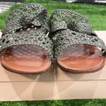 Alexandre Birman  Clarita Braided Mule Flat Nappa Kiss Green Tea Sandals SZ 42 Photo 3