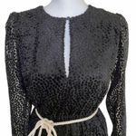 Robert Rodriguez  NWT Sheer Velvet Belted Long Sleeve Mini Dress Black Size 2 Photo 3