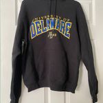 Champion University Of Delaware Hoodie Photo 0