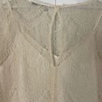 Cupcakes and Cashmere cream lace shift dress size 10 Photo 6