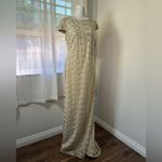 Calvin Klein NWT  Beige Metallic Mesh Cap Sleeve Stretchy Floor Length Gown Photo 4