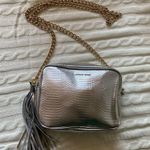 Victoria's Secret Victoria Secret Silver Snakeskin Purse Bag (Official 2016 Fashion Show Bag) Photo 1