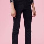 Rebecca Taylor NWT Soft Black High Waisted Velvet/Velveteen Pants Size 6 Photo 0