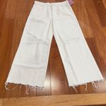 NWT MOTHER Women's Snacks! Double Dip Nerdy Chew Jeans size 33 White Photo 3