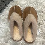 The Comfy  Slippers  Photo 0