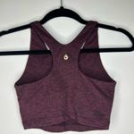 Spiritual Gangster Varsity Tech Crop Bra - Maroon Photo 3