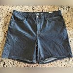 Lee Navy and White Pin Striped Women's Shorts Photo 0