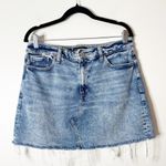 Banana Republic  Denim mini skirt medium Photo 1