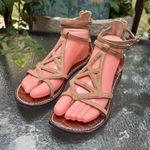 Sam Edelman Tan Gladiator Sandals Photo 0
