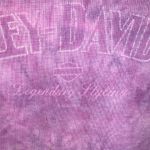 Harley Davidson Vintage  Purple Tank Top Twin Falls Idaho XL Photo 2