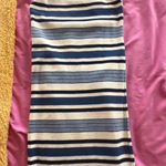 Brandy Melville  Mini Dress Blue Striped Photo 0