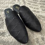 Seychelles  | Survival Black Leather Mules | NEW Photo 1