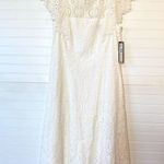 Tahari  Snow White Lace Dress​ Photo 5