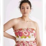 Anthropologie  Love The Label Cornelia Crop Tube Top Photo 0