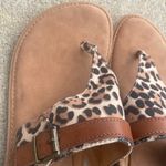 B.O.C. Sandal Mya Womens Animal Print Thong Flat New Sz 9M Photo 4