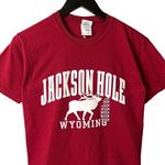 Urban Outfitters Jackson Hole Wyoming T Shirt Vintage Y2K Red Small S Deer Graphic Tee Solid Logo Photo 0
