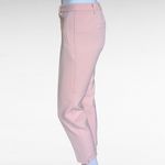Talbots  Hampshire Pink Pastel Ankle Pants Size 2P Photo 1