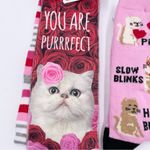 NEW Women's Bundle of Socks Kitty Cat Valentine's Day You Are Purrfect One Size Pink Photo 2