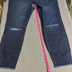 Warp + Weft JFK New York City Skinny Jeans Blue Size 22W Photo 13