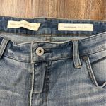 Pilcro and the Letterpress NWT  Mid-Rise Slim Relaxed Fit Boyfriend Jeans Size 32 Photo 9