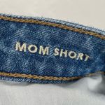 American Eagle  Floral Embroidered Distressed Mom Short Size 6 Photo 2