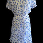 Forever 21 NWT--POLKA DOT DRESS Photo 6