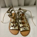 Indigo rd. Women's gladiator lace up sandals Gold Flat Size 6M New W/O Box Photo 0