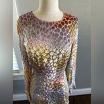 Adam Lippes NWT  Burnout Velvet Dress Size 4 Silk Blend Pastel Multicolor Photo 3