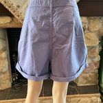 Urban Outfitters BDG Lavender/ Purple Shorts 32 Photo 3