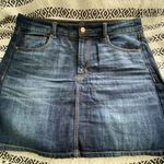American Eagle  Skirt Photo 0