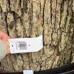 Old Navy Elegant Black Velvet Jumpsuit Photo 4