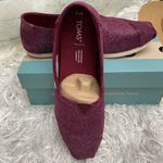 Toms New in Box Women’s Alpargata Holiday Look Ribbed Glitter Photo 2