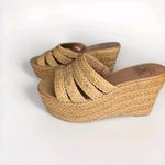 Lucky Brand Havana Platform Wedge Natural Woven Sandals Shoes Size 10 Photo 2