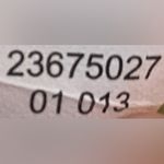 Brooks Brothers """346""  Lime Sleeveless Mini Dress Women's Sz Large Photo 12