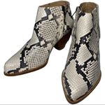 Alberto Zago Women’s Size 36.5 6 Black White Python Snakeskin Ankle Boots Photo 1