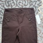 Joe B  Solid Millennium Ankle Pant Espresso Brown Small Photo 1