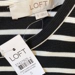 Loft  Striped Ottoman Mock Neck Dress Long Sleeve Mini Ribbed Material NWT - S Photo 6