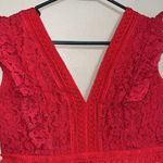 ASOS Women’s Petite  Little Mistress Frilly Lace Mini  Dress homecoming formal Photo 4