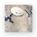 DKNY ᪥ Crossbody Leather Convertible Bag ᪥ Double Chain ᪥ Metallic Python Print Photo 10