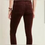 Pilcro Anthropologie  the letterpress high rise skinny brown corduroy Pants 25 Photo 2
