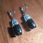 Matrix Silver Shungite Platinum Over Copper Lever Back Earrings Photo 1