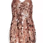 Ramy Brook NWT  Rina Sequin Minidress Photo 0