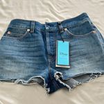Gucci NWT BLUE DISNEY EDITION DENIM ECO-WASHED DONALD DUCK SHORTS Photo 0