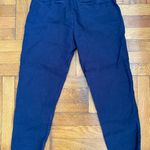 Frank & Eileen $298 Kinsale Italian Performance Linen Flax Size 4 Photo 4