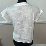 SheIn Emery Rose Batwing Sleeve Solid White Tee- Photo 1